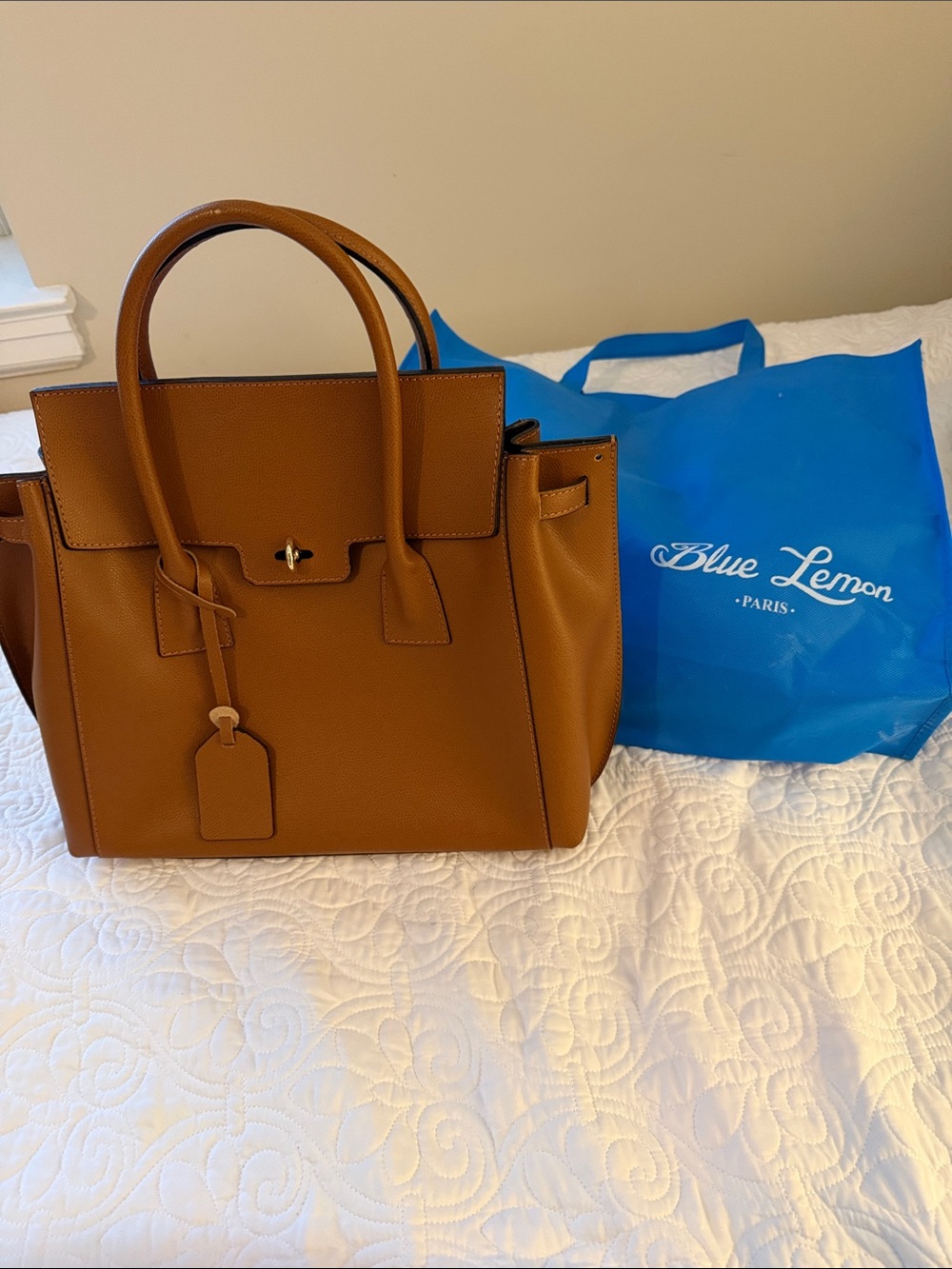 Tan purse with gold clasp